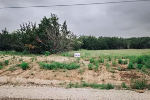 1165 County Rd 407, Nemo, TX 76070 - Photo 1