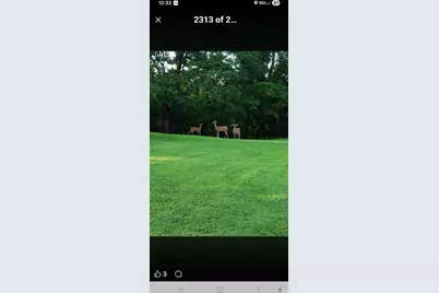 690 County Road 3020, Saltillo, TX 75457 - Photo 38