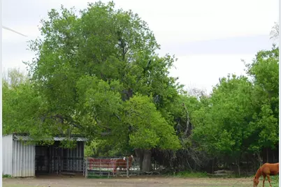1032 Fm 936, Hubbard, TX 76648 - Photo 6