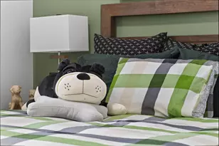 1001 Pecos St, Aubrey, TX 76227 - Photo 22