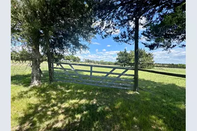 0 County Road 1074, Celeste, TX 75423 - Photo 6
