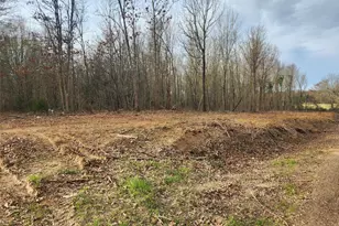 Lot 2 Cr 2310, Sulphur Springs, TX 75482 - Photo 1