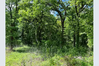 3024 Ida Lane, Alvarado, TX 76009 - Photo 2