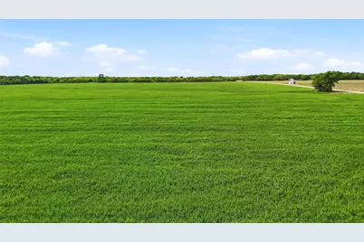 200+ Acres Davis Road, Whitesboro, TX 76273 - Photo 6