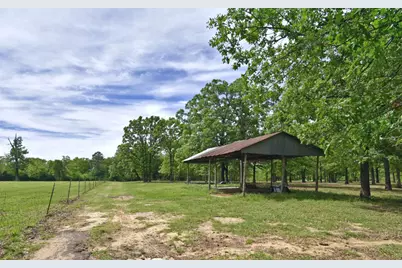 599 County Road 1260, Quitman, TX 75783 - Photo 6