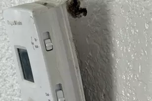 813 S Smith St, Ennis, TX 75119 - Photo 22