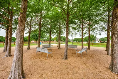 12047 Del Rio, Frisco, TX 75035 - Photo 28