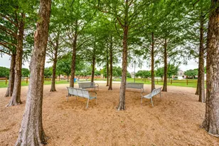 12047 Del Rio, Frisco, TX 75035 - Photo 28