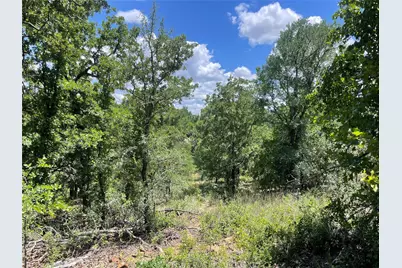 000 Lower Tonk Valley Road, Graham, TX 76450 - Photo 6