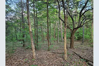 65 Lakewood Lane, Pottsboro, TX 75076 - Photo 6