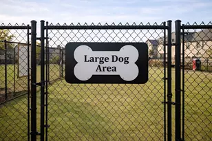 8121 Mary Curran Ct, Dallas, TX 75252 - Photo 40