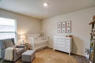 9813 Daisy Mae Lane, Aubrey, TX 76227 - Photo 22