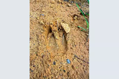 000 Fm 838, Overton, TX 75684 - Photo 40