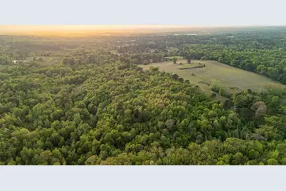 000 Fm 838, Overton, TX 75684 - Photo 8