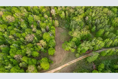 000 Fm 838, Overton, TX 75684 - Photo 14