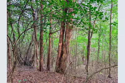 000 Fm 838, Overton, TX 75684 - Photo 32