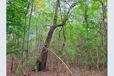 000 Fm 838, Overton, TX 75684 - Photo 30