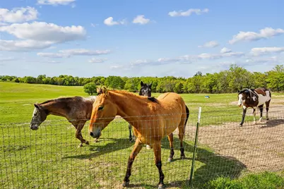 1406 N Johnson Loop, Montague, TX 76251 - Photo 26