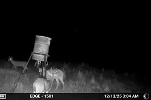 7215 Hwy 569, Cisco, TX 76437 - Photo 6