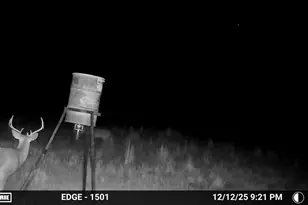 7215 Hwy 569, Cisco, TX 76437 - Photo 4