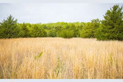 Lot 5 Pr 291, Dodd City, TX 75438 - Photo 12