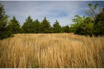 Lot 5 Pr 291, Dodd City, TX 75438 - Photo 10