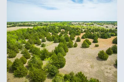 Lot 5 Pr 291, Dodd City, TX 75438 - Photo 28