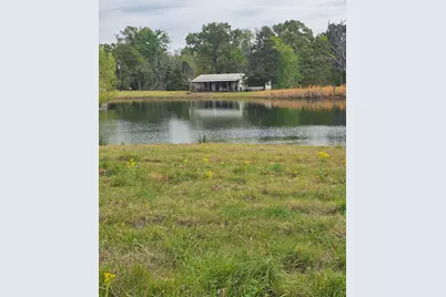 7247 County Road 4334, LaRue, TX 75770 - Photo 4