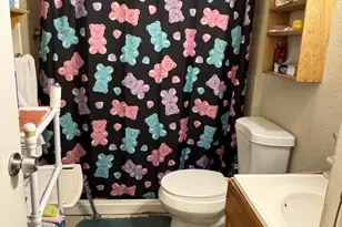 2429 February Ln, Grand Prairie, TX 75050 - Photo 14