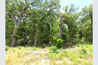 0 Goliad Drive, Malakoff, TX 75148 - Photo 1