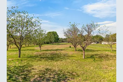 000 E. Will White Rd., Tool, TX 75143 - Photo 6