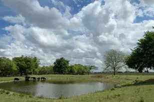 7355 Co Rd 456, Stephenville, TX 76401 - Photo 16