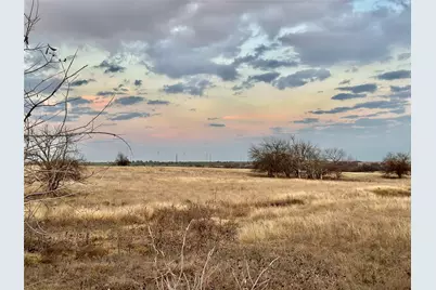 Lot 8 County Road 353, Gainesville, TX 76240 - Photo 4