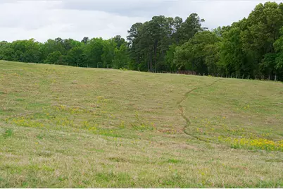 00 Tract 1 Cr 1615, Jacksonville, TX 75766 - Photo 10