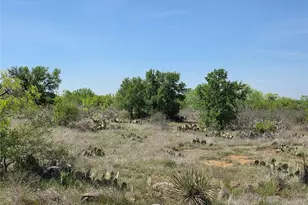 3925 County Rd 216, San Saba, TX 76877 - Photo 2