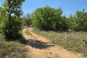 3925 County Rd 216, San Saba, TX 76877 - Photo 6