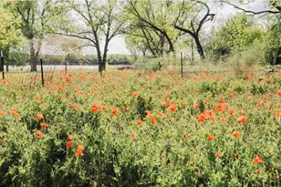 726 Co Rd 463, Eastland, TX 76448 - Photo 10