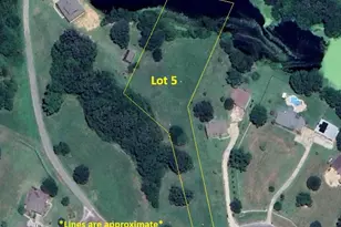 Tbd County Road 1300, Yantis, TX 75497 - Photo 1