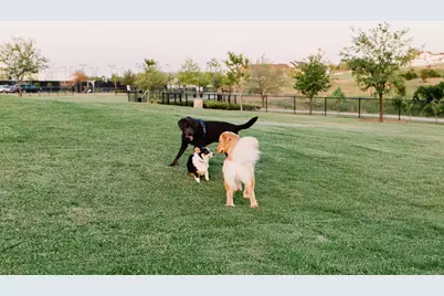 2557 Domingo Drive, Aledo, TX 76008 - Photo 10