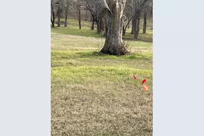 5455 Saddle Ridge Court, Athens, TX 75752 - Photo 20