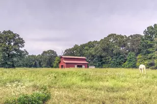 11821 W Lake Dr, Murchison, TX 75778 - Photo 34