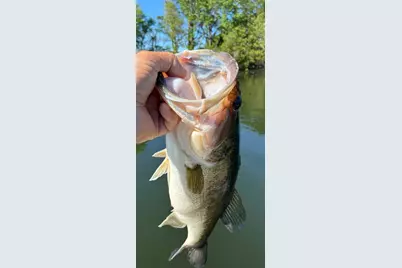 11821 W Lake Drive, Murchison, TX 75778 - Photo 38