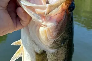 11821 W Lake Dr, Murchison, TX 75778 - Photo 38