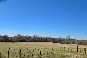 20398 Old Palestine Hwy, Flint, TX 75762 - Photo 1