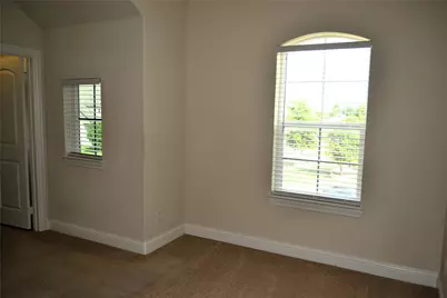 302 Daylily Drive, Wylie, TX 75098 - Photo 30
