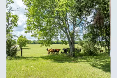 1695 County Road 3408, Jacksonville, TX 75766 - Photo 4