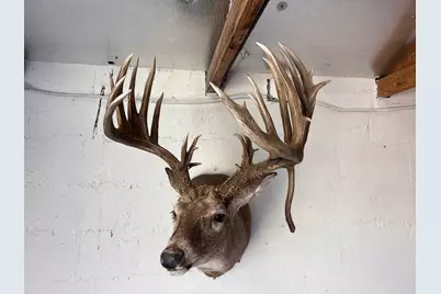 235 Private Road 2124, Meridian, TX 76665 - Photo 2