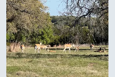 235 Private Road 2124, Meridian, TX 76665 - Photo 30