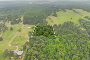 7398 County Rd 334, Tyler, TX 75708 - Photo 12