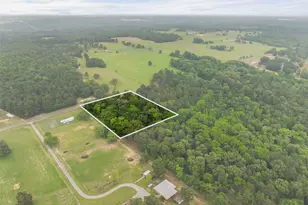 7398 County Rd 334, Tyler, TX 75708 - Photo 12